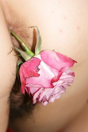 Sarahporn69 flower (7)