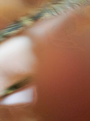 Austria ex girlfriend