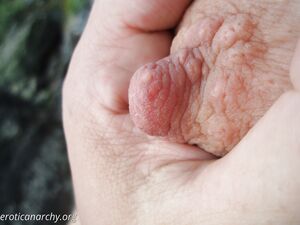 Me fucking and sucking in a public park