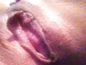 My gf private pussy pics