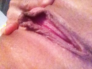 My gf private pussy pics