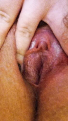 Pussy Kitten