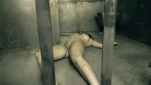 He is the servant of the dark will