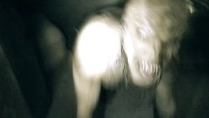 He is the servant of the dark will