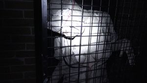 Abandoned sanatorium is the scariest place I know