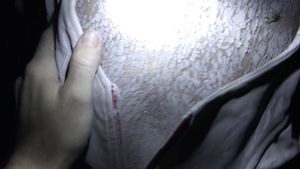 Abandoned sanatorium is the scariest place I know