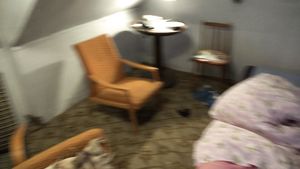 The girl from the well, the drowned beauty!