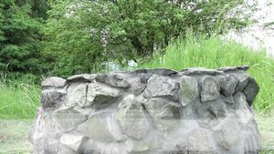 The girl from the well, the drowned beauty!