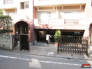 Gorgeous slut Ayumi Wakana gets captured and fucked by a horny dude