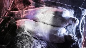 FUTURE DARKLY: EYES IN THE SKY