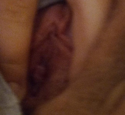 Pussy kitten