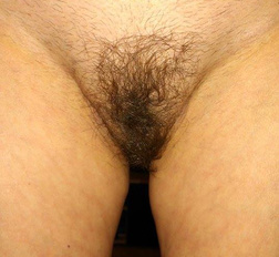 pussy