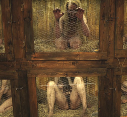 There are no hairy pets in this hutch, just scared girls