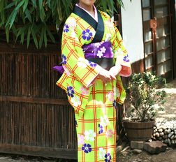 Dark haired Japanese lady in a kimono showing her fine vagina